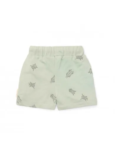 Little Dutch šorts Forest Mint Bugs, 80-98