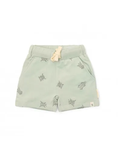 Little Dutch šorts Forest Mint Bugs, 80-98
