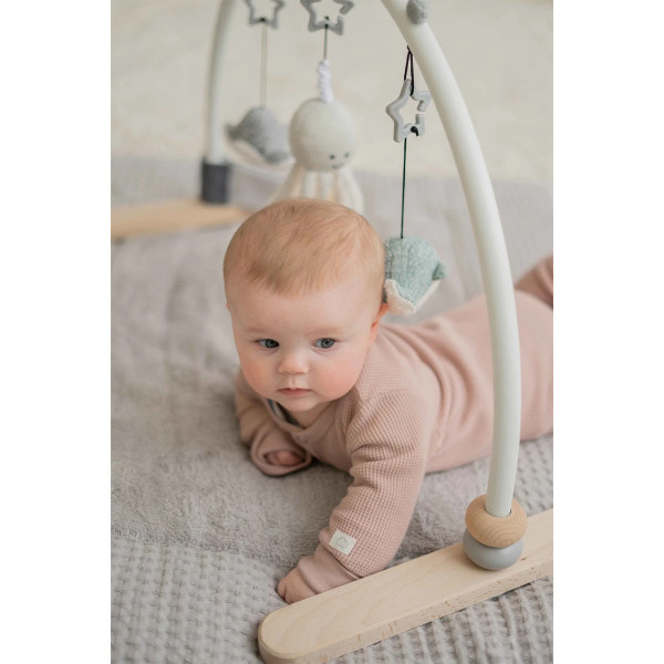 Flow Amsterdam bebi gimnastika, 76x48x40cm