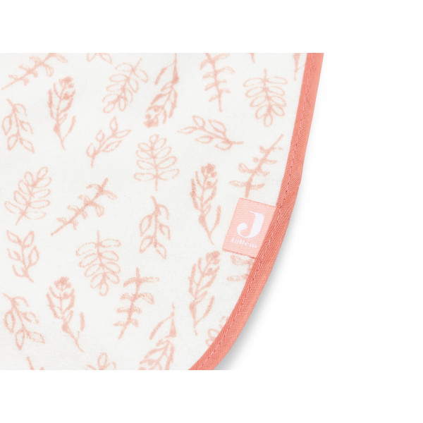 Jollein portikla, 3/1