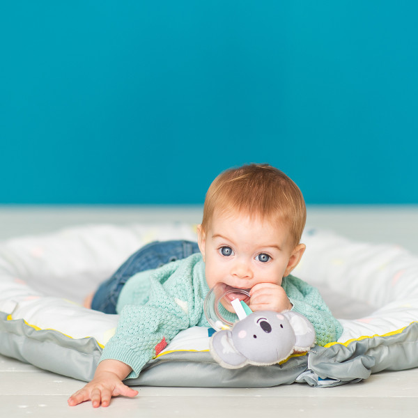 Taf Toys zvečka Kimmy Koala