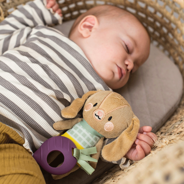 Taf Toys zeka sa glodalicom