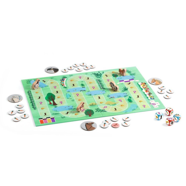 Djeco društvena igra