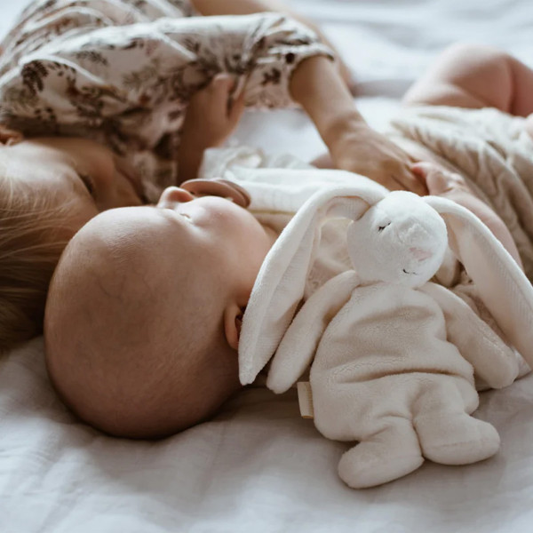 Moonie sensory zeka, Cream