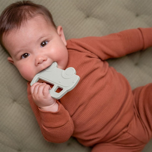 Little dutch glodalica