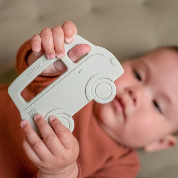 Little dutch glodalica