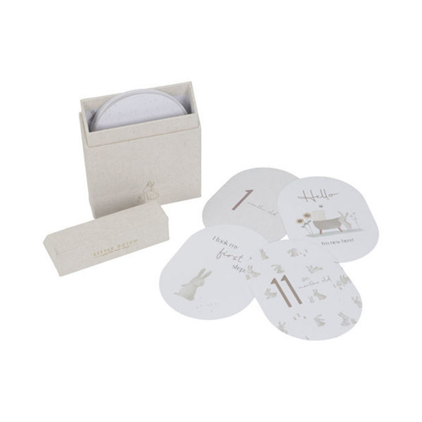 Little Dutch Milestone Cards