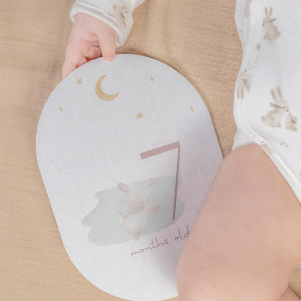 Little Dutch Milestone Cards