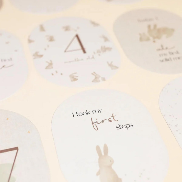 Little Dutch Milestone Cards