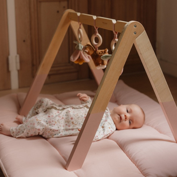 Little Dutch gimnastika Forest Garden