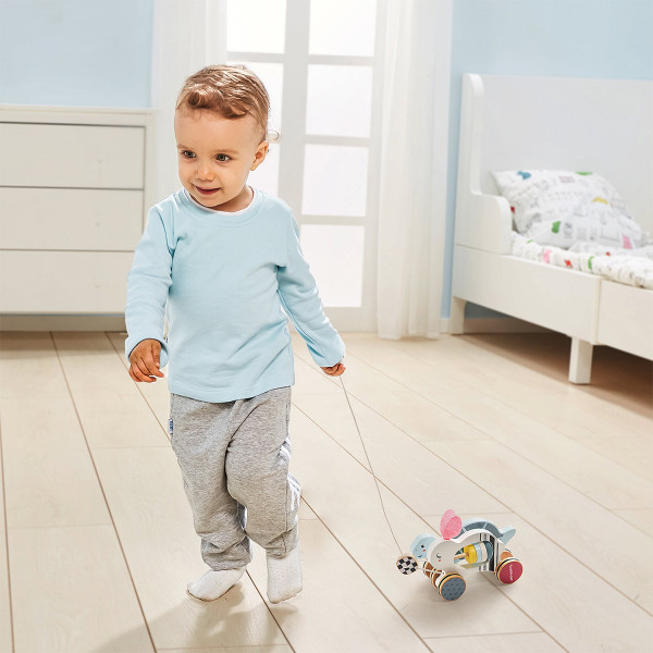 Top Bright igračka na povlačenje zec i kornjača