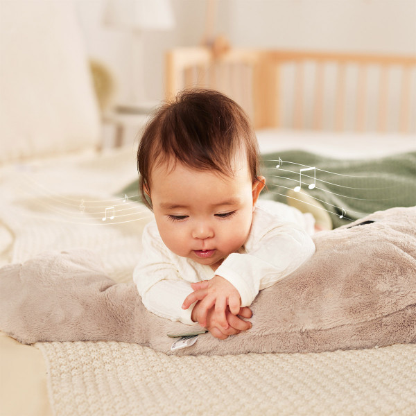 Top Bright igračka za uspavljivanje kit