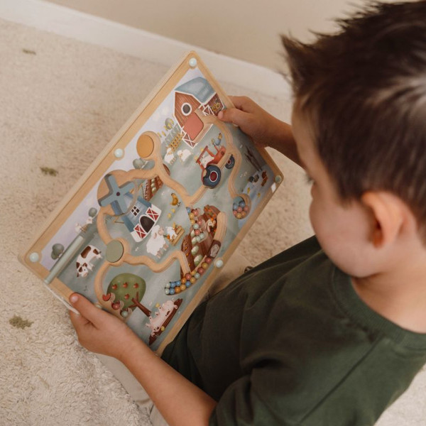 Little Dutch magnetni lavirint