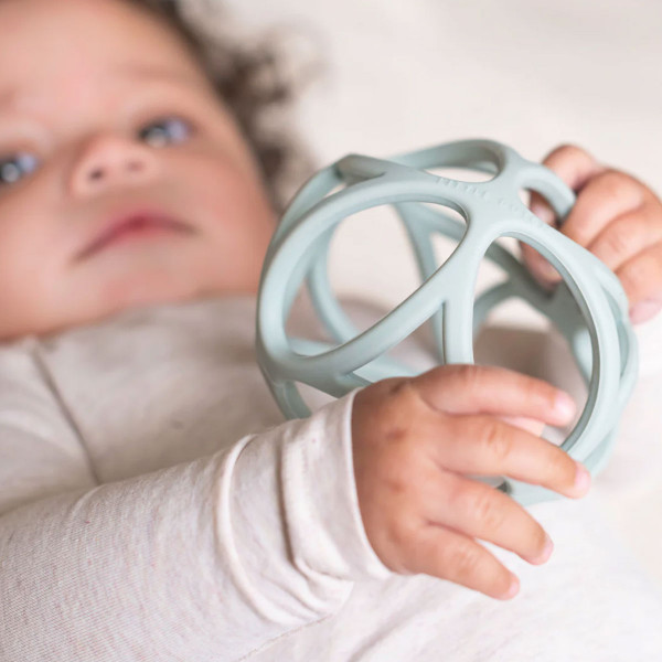 Little Dutch glodalica