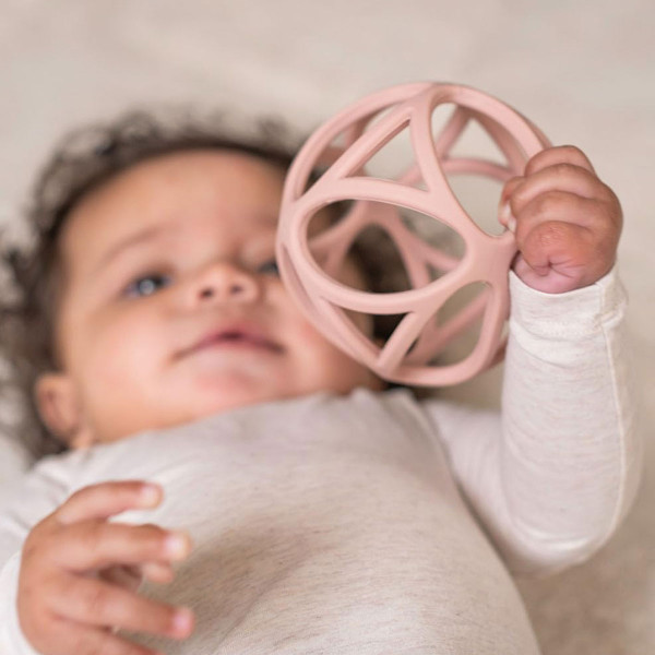 Little Dutch glodalica