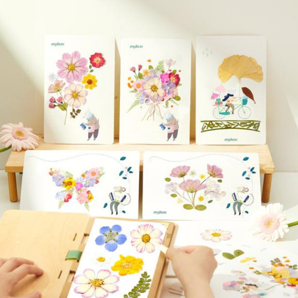 Mideer kreativni set otkrivanje prirode