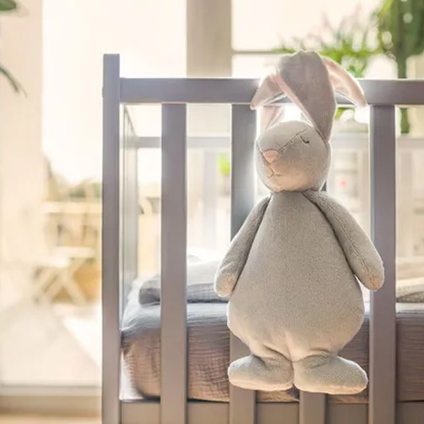 Moonie zeka 2.0 Organic, Cloud