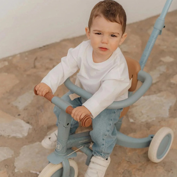 Little Dutch tricikl