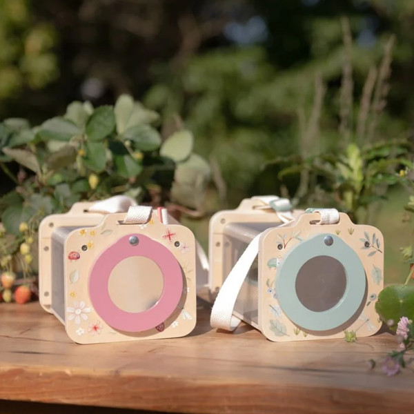 Little Dutch kutija za posmatranje insekata