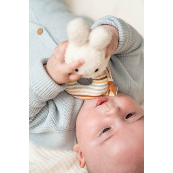 Little Dutch zvečka