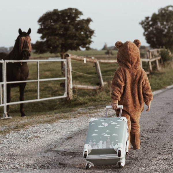 Pellianni kofer, 40x30x17cm