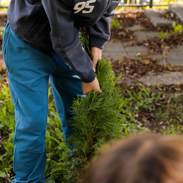 Just kiddin donji deo 