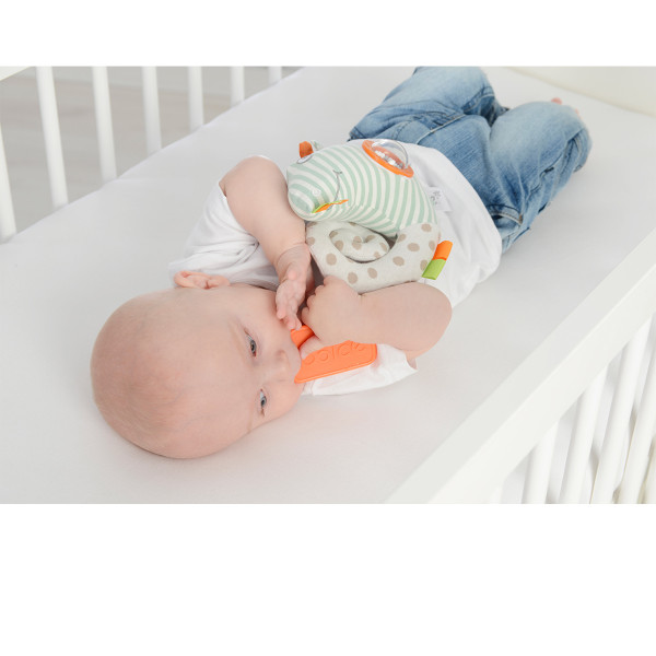 Dolce edukativna igračka - Kameleon Primo