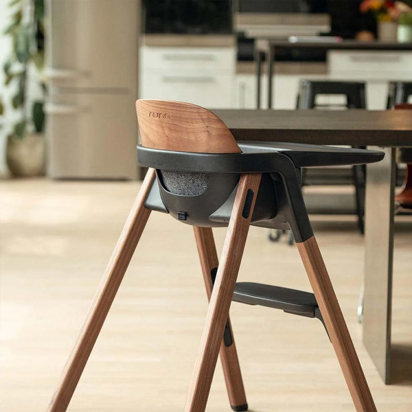 Nuna stolica za hranjenje Bryn, Sanderson