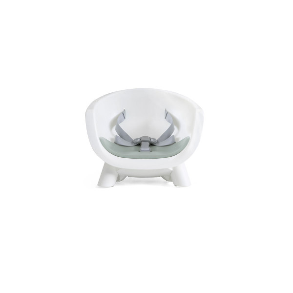 Joie hranilica Chestnut, Mist