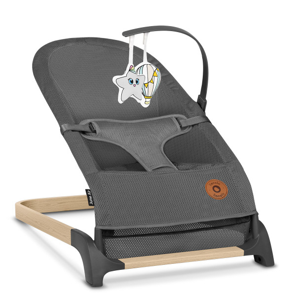 Lionelo njihalica June Air, Grey Graphite