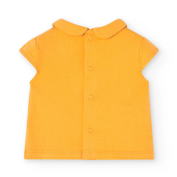 Boboli kompet, 56-86