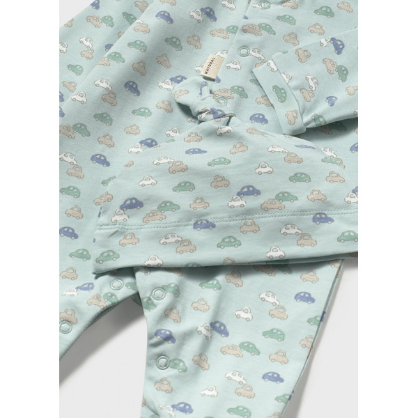 Mayoral zeka sa kapom