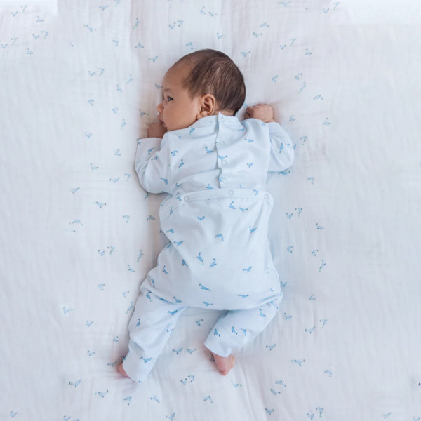 MarMar Copenhagen zeka, 56-74