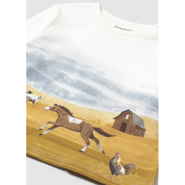 Mayoral majica, 68-104