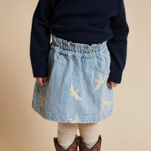 Copenhagen colors suknja