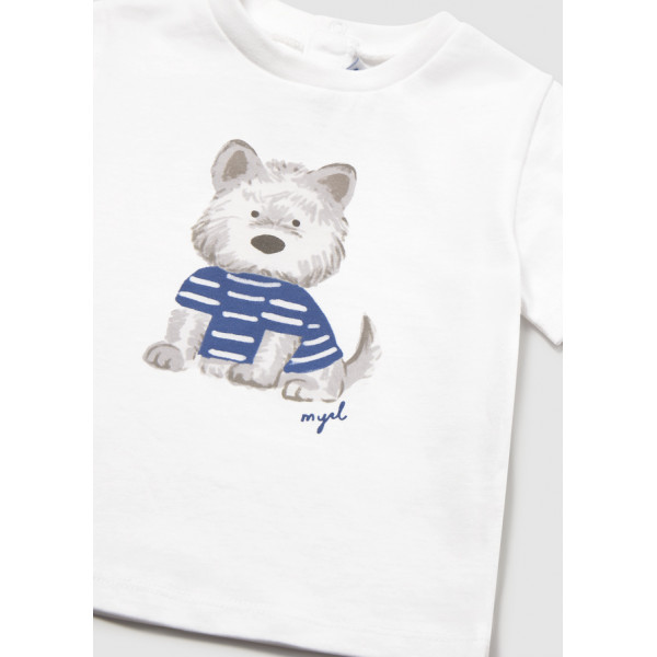 Mayoral majica, 68-104