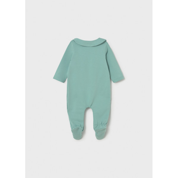 Mayoral zeka sa portiklom