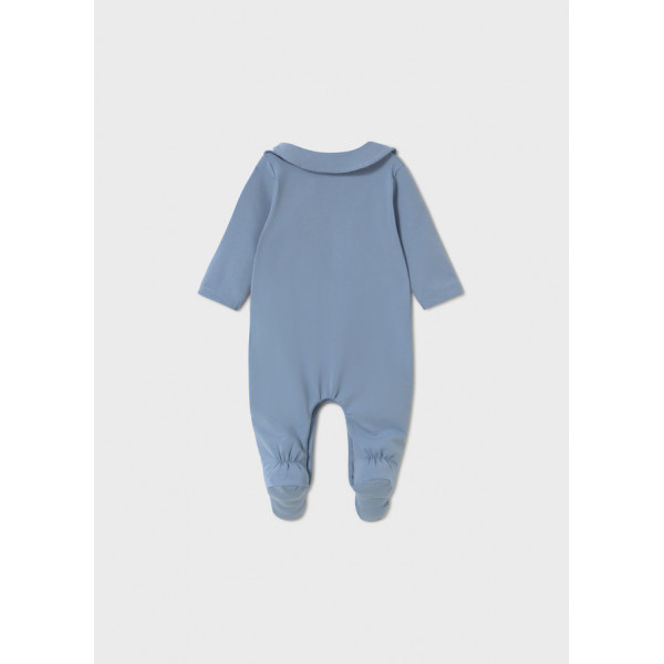 Mayoral zeka sa portiklom