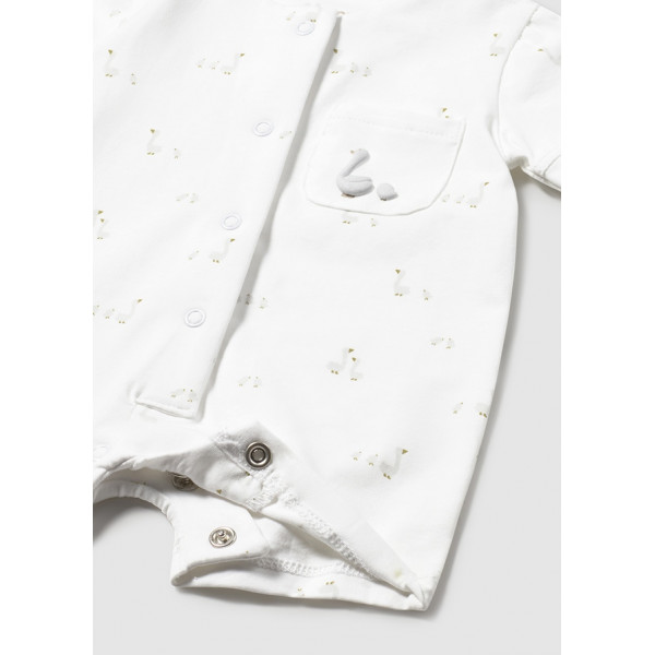 Mayoral zeka sa čarapicama