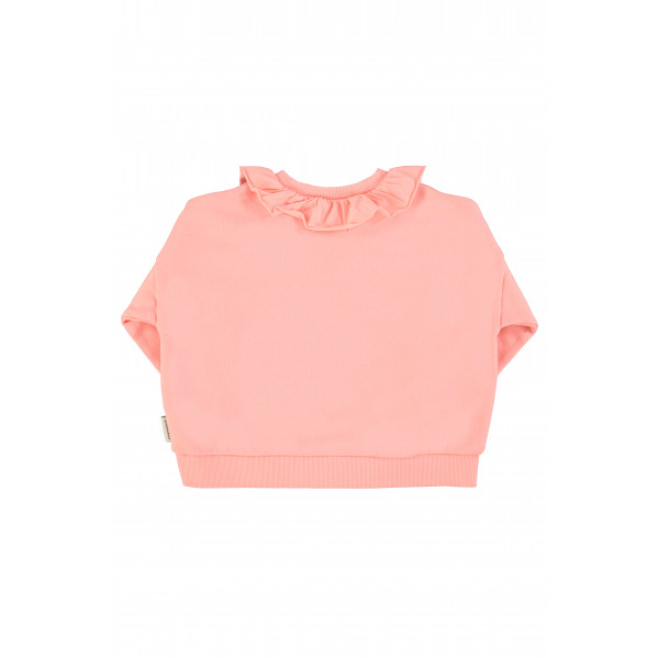 Piupiuchick duks 3-10