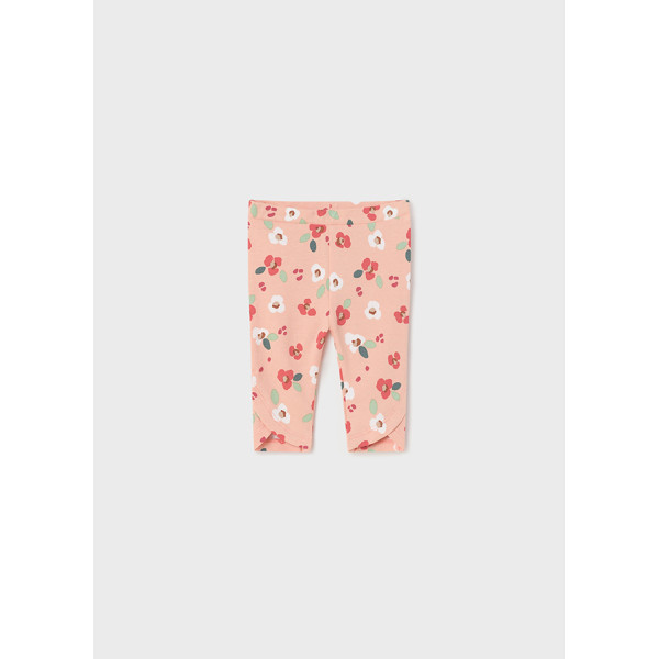 Mayoral helanke, 2/1