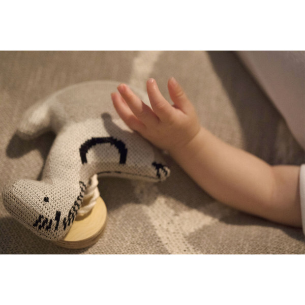 Quax bebi gimnastika