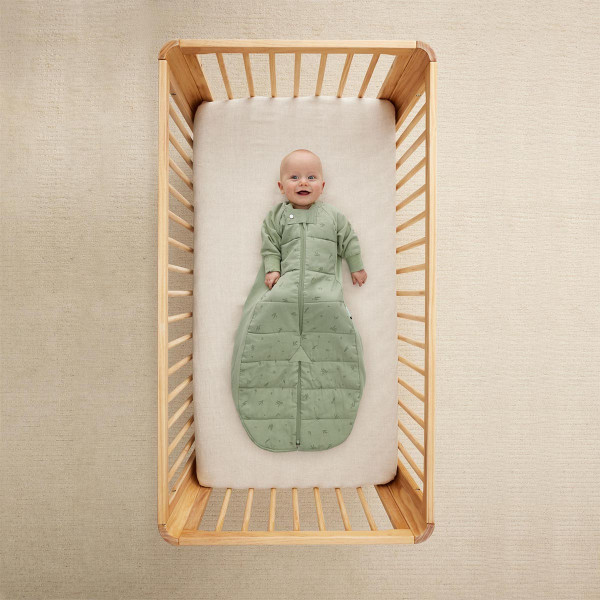 Ergopouch vreća za spavanje 2.5 TOG, 3-12m