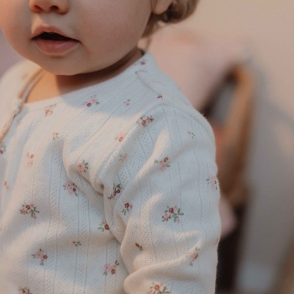 Little Dutch zeka, 62-80