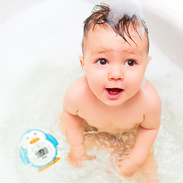 Alecto termometarsobu 