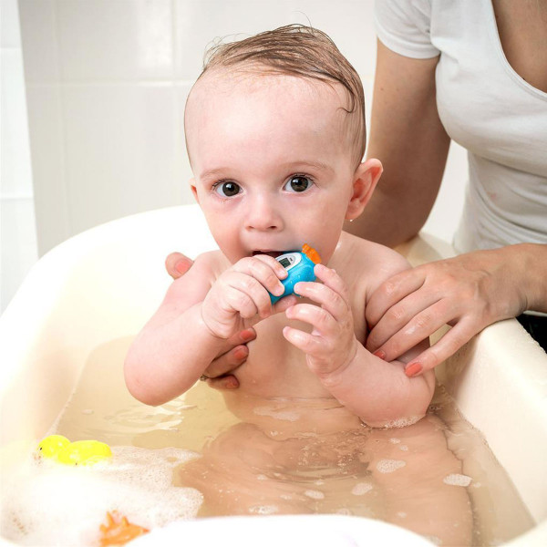 Alecto termometarsobu 