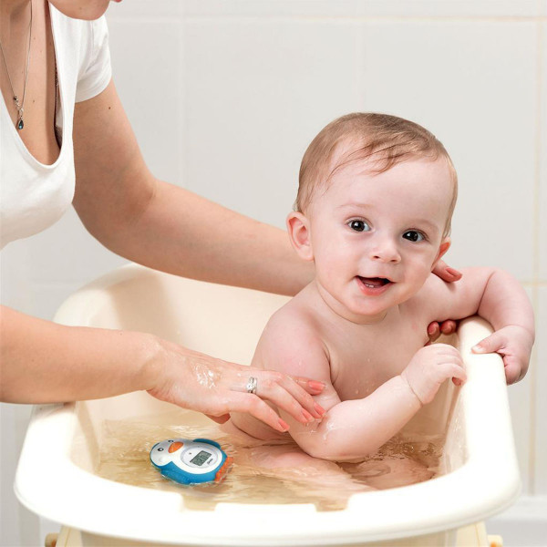 Alecto termometarsobu 