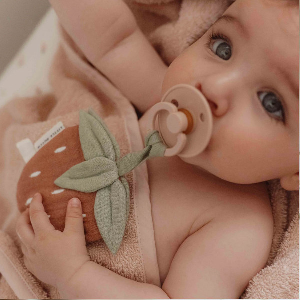 Little Dutch mazilica