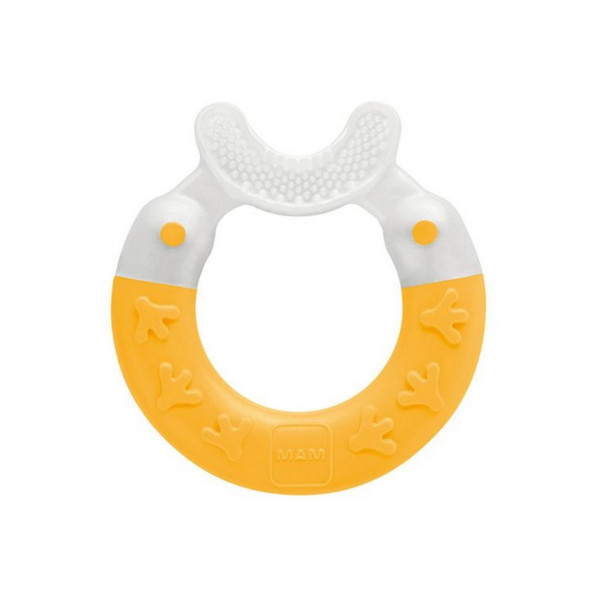 Mam glodalica sa  četkicom