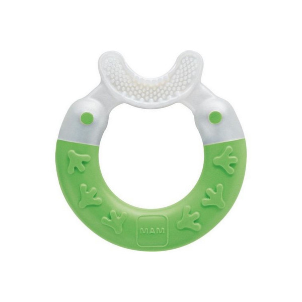 Mam glodalica sa  četkicom